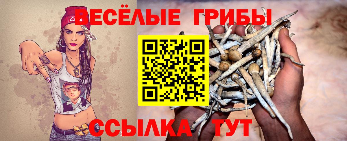 Новочеркасск  Галлюциногенные грибы Psilocybe  Вход с VPN 